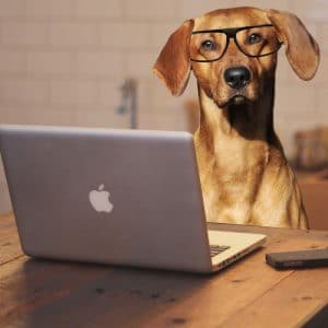 64c18b9d2419aa6fedd952b1_stencil.mailchinp-square-300x300