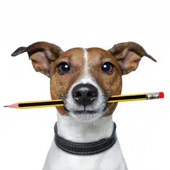 Illustration of a dog holding a pencil in its mouth