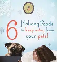 Graphic titled 6 Holiday Foods to keep away from your pets, with a pug and cake