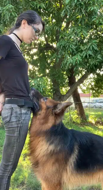 Lauren J, a pet trainer at Bauser's Pet Training, with a German shepherd